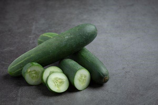 Pepino comum (aodai) é o mais encontrado nos supermercados brasileiros.